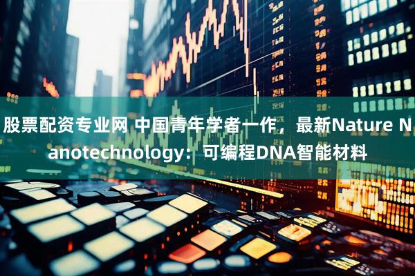 股票配资专业网 中国青年学者一作，最新Nature Nanotechnology：可编程DNA智能材料