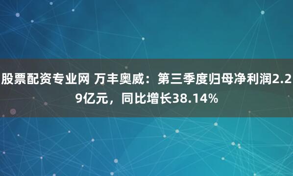 股票配资专业网 万丰奥威：第三季度归母净利润2.29亿元，同比增长38.14%